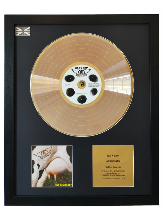 AEROSMITH - Get A Grip | Gold Record & CD Presentation