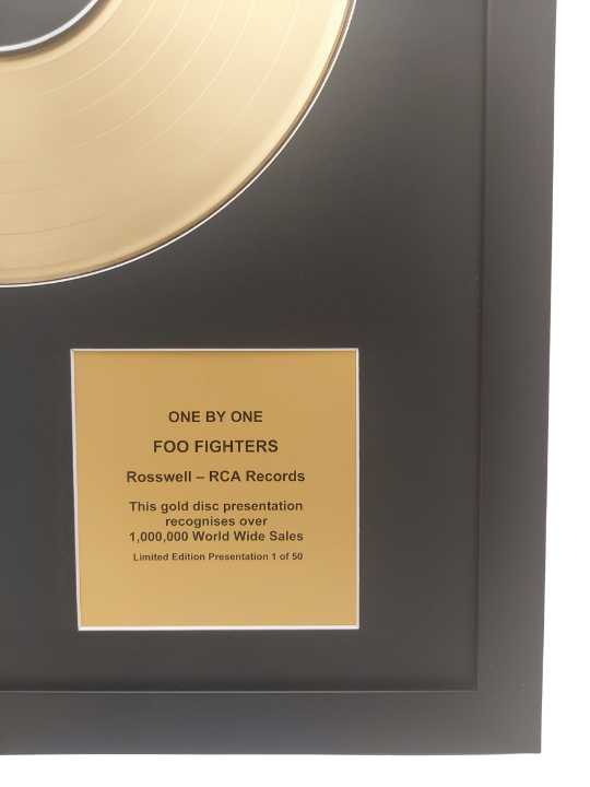 FOO FIGHTERS - One By One | Gold Record & CD Presentation